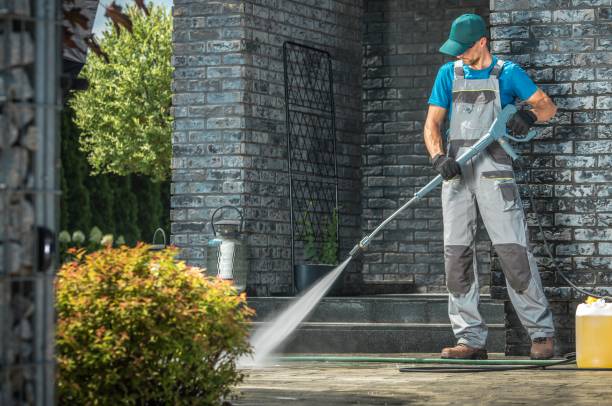 Best Gutter Cleaning  in Ferrysburg, MI